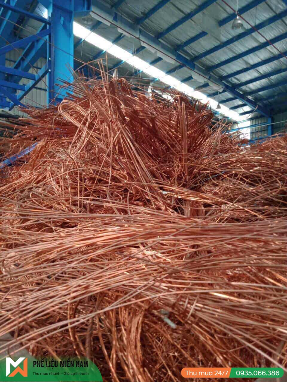 thu-mua-phe-lieu-dong-3.jpeg thu mua phe lieu dong 3